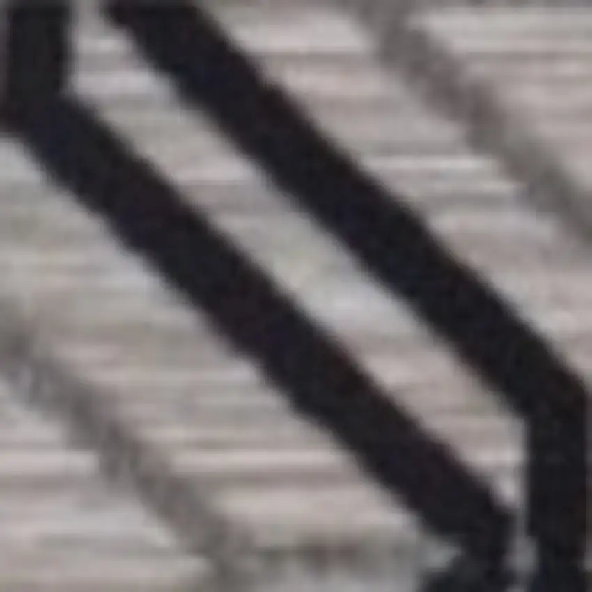 Black And Tan Indoor Outdoor Area Rug Photo 4
