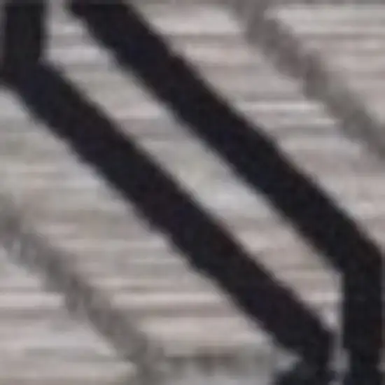 Black And Tan Indoor Outdoor Area Rug Photo 4
