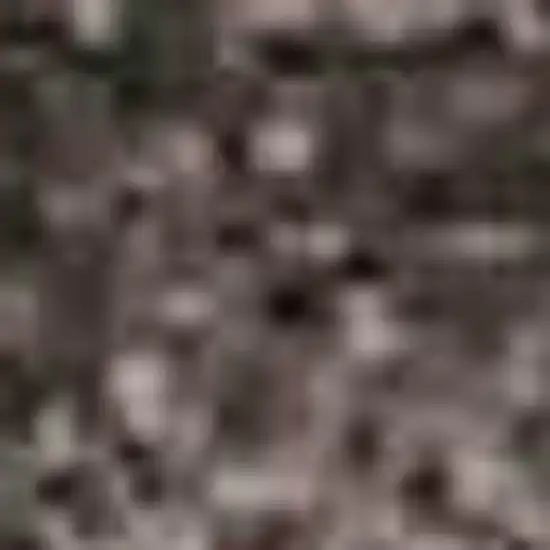 Black Gray And Silver Ombre Washable Area Rug With UV Protection Photo 1