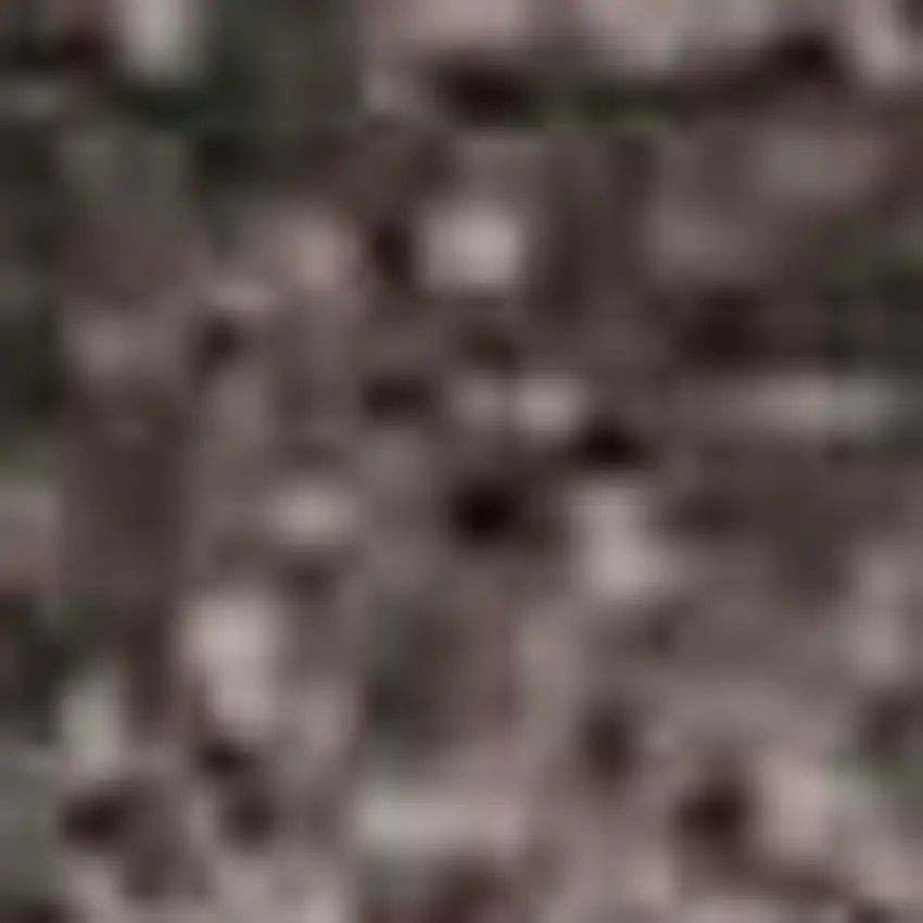 Black Gray And Silver Ombre Washable Area Rug With UV Protection Photo 1