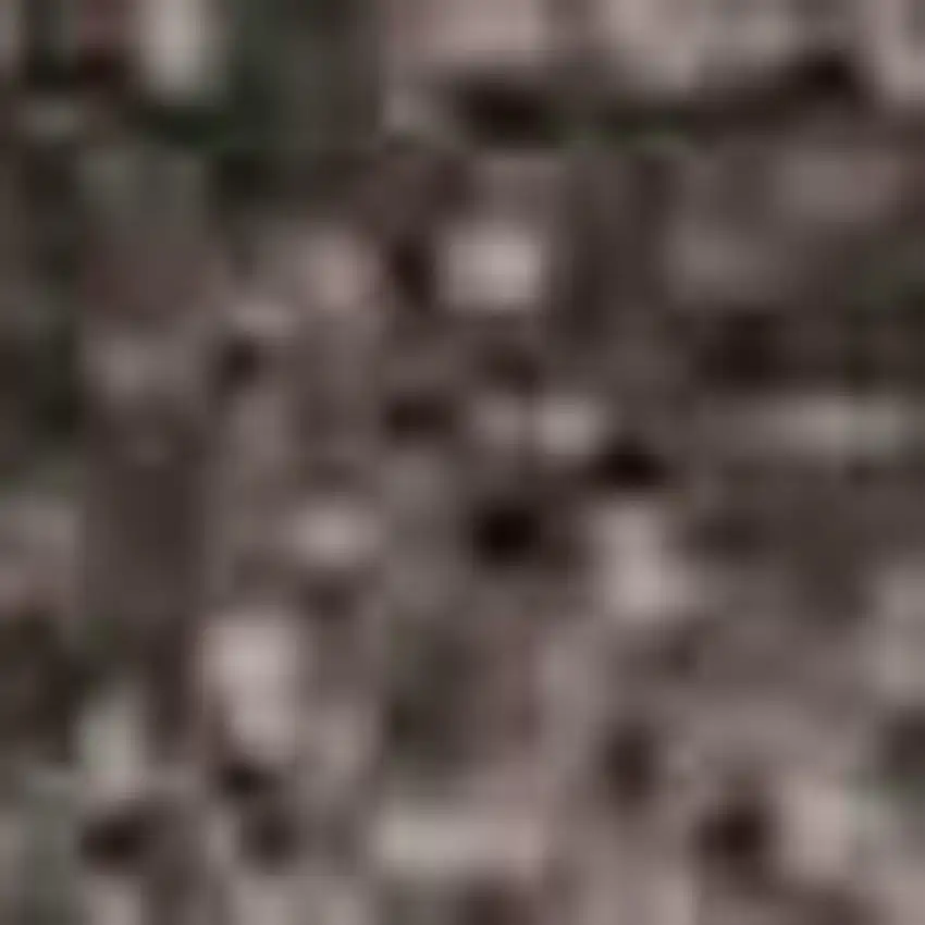 Black Gray And Silver Ombre Washable Area Rug With UV Protection Photo 2