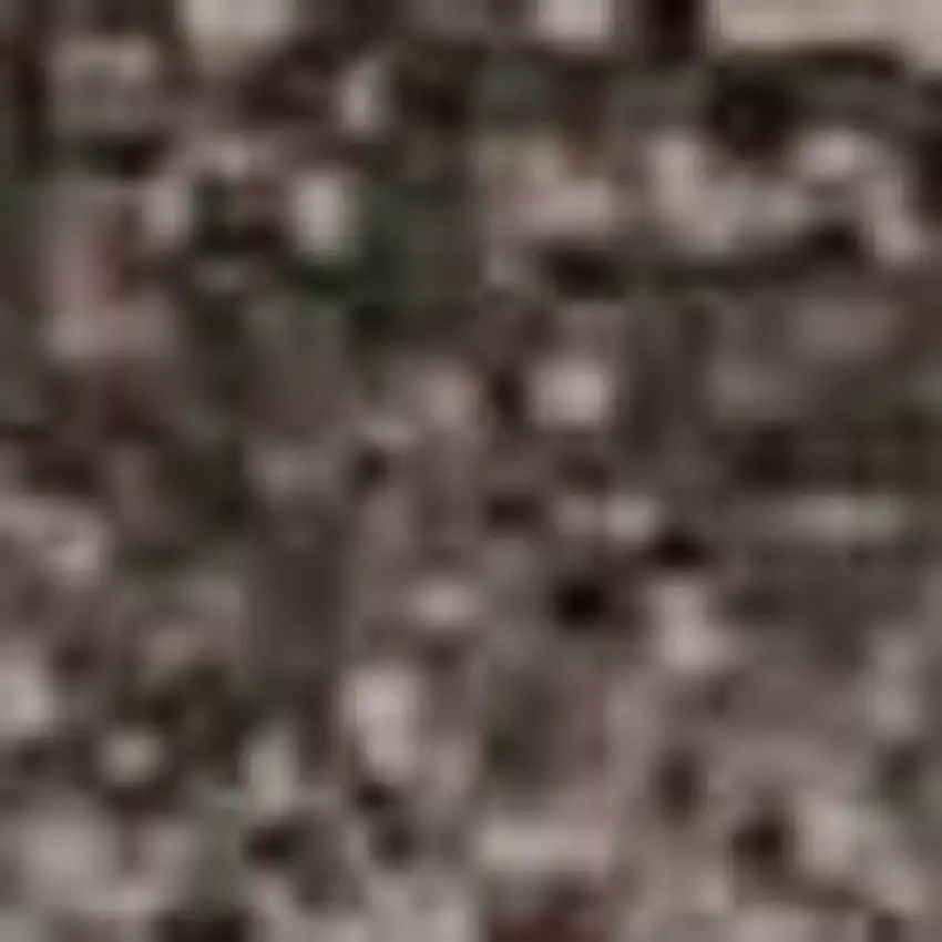 Black Gray And Silver Ombre Washable Area Rug With UV Protection Photo 4