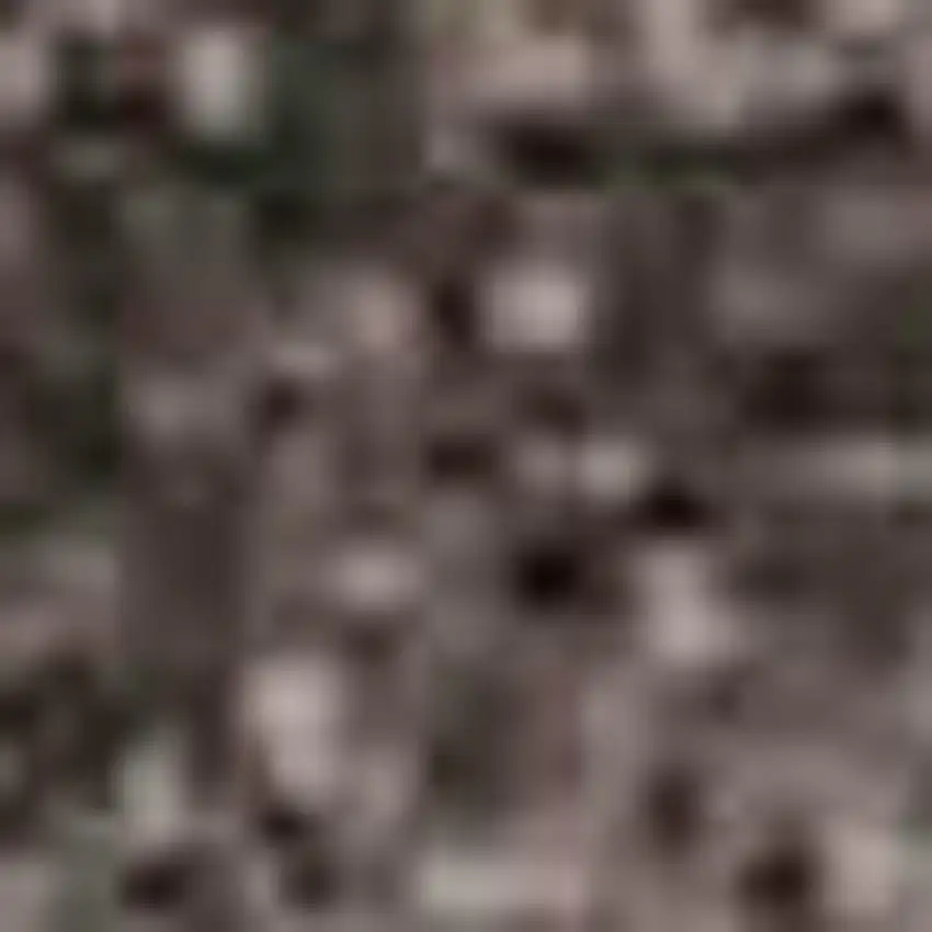 Black Gray And Silver Ombre Washable Area Rug With UV Protection Photo 1