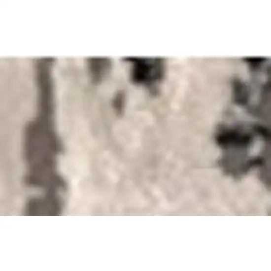 Black Gray and Beige Abstract Area Rug Photo 3