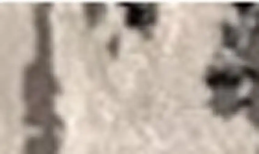 Black Gray and Beige Abstract Area Rug Photo 3