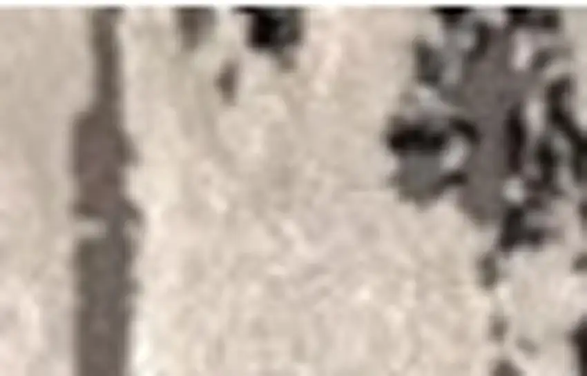 Black Gray and Beige Abstract Area Rug Photo 4