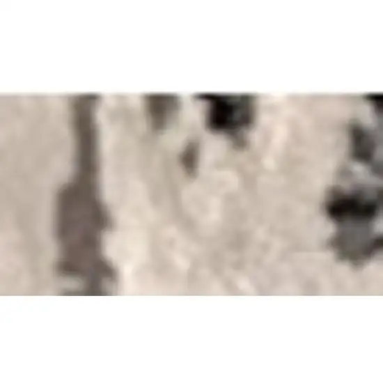 Black Gray and Beige Abstract Area Rug Photo 3