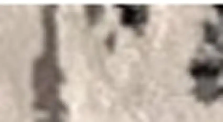 Black Gray and Beige Abstract Area Rug Photo 3