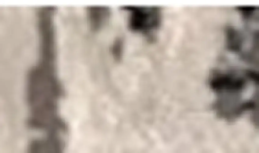 Black Gray and Beige Abstract Area Rug Photo 3