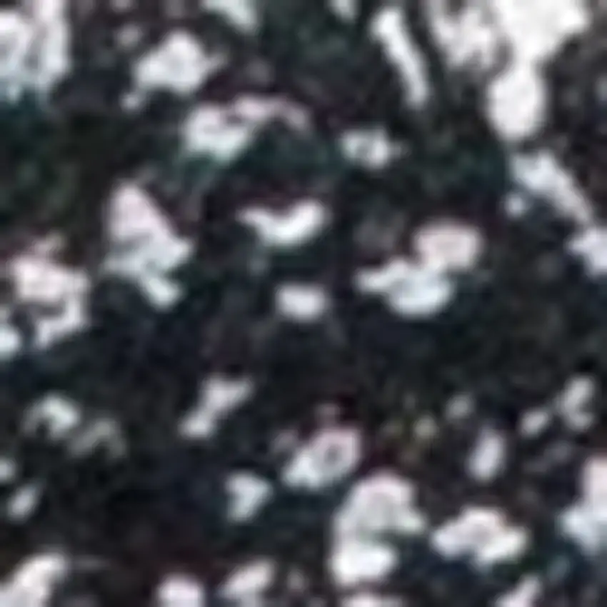 Black And White Shag Hand Woven Area Rug Photo 4