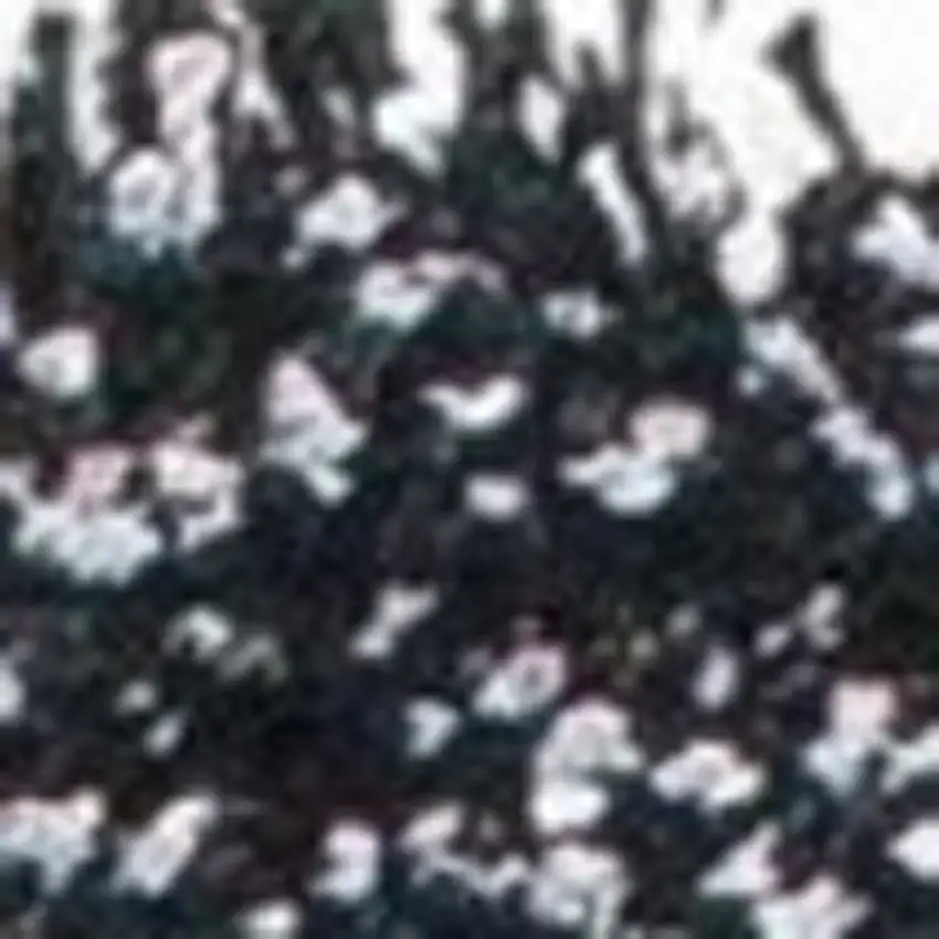 Black And White Shag Hand Woven Area Rug Photo 5