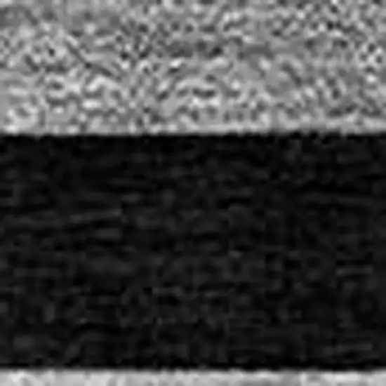 Black Ivory And Gray Striped Washable Indoor Outdoor Area Rug Photo 6