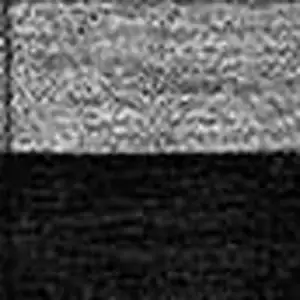 Photo of Black Ivory And Gray Striped Washable Indoor Outdoor Area Rug