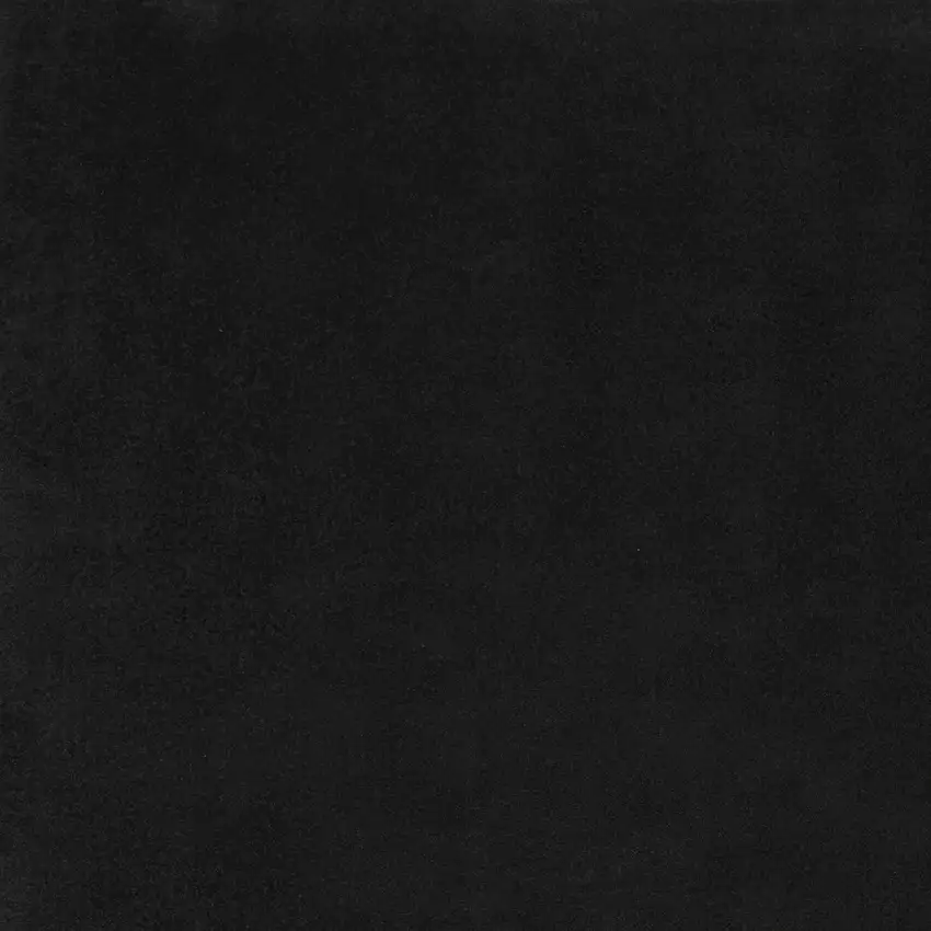 Black Non Skid Indoor Outdoor Area Rug Photo 4