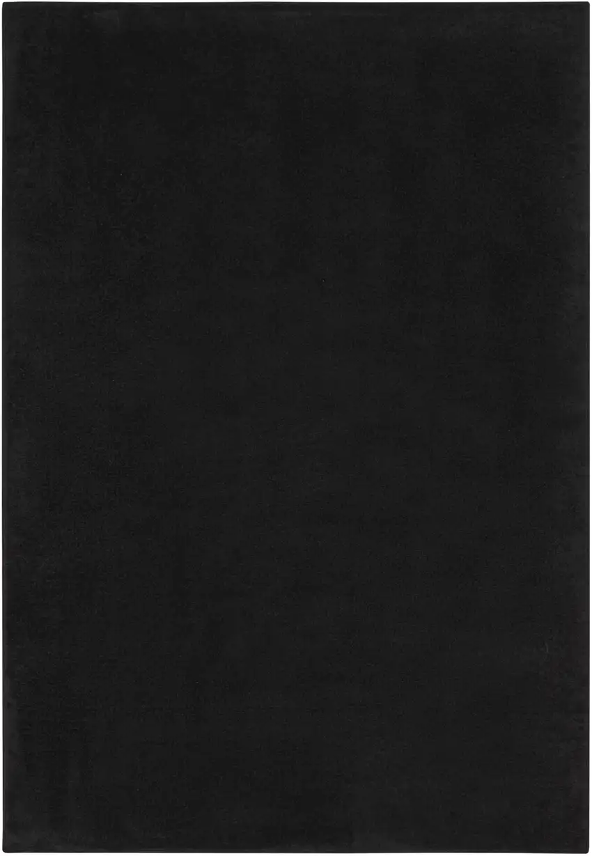Black Stain Resistant Indoor Outdoor Area Rug Photo 4