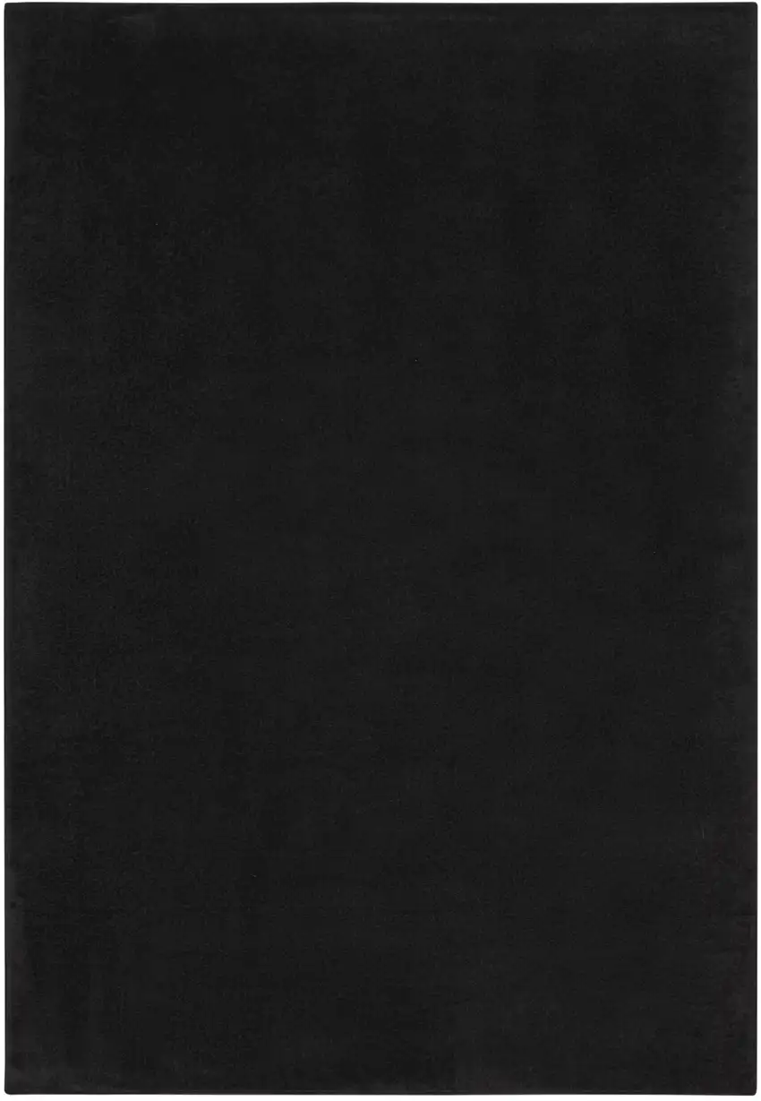 Black Stain Resistant Indoor Outdoor Area Rug Photo 2