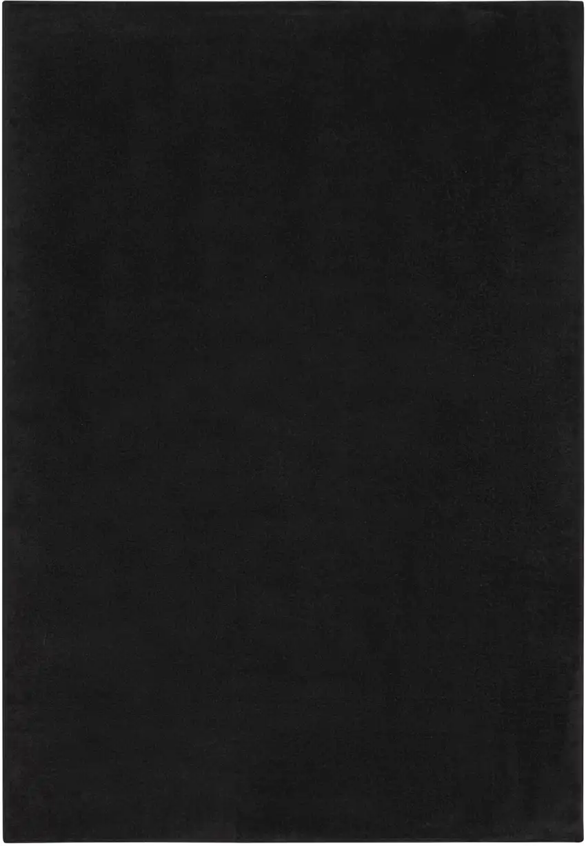 Black Non Skid Indoor Outdoor Area Rug Photo 3