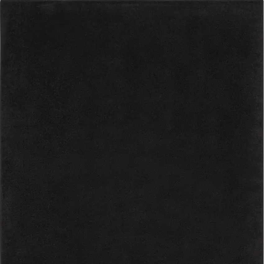 Black Non Skid Indoor Outdoor Area Rug Photo 4