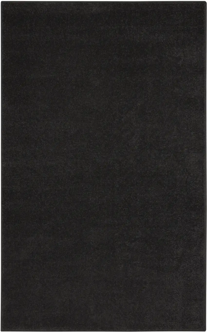 Black Stain Resistant Indoor Outdoor Area Rug Photo 3