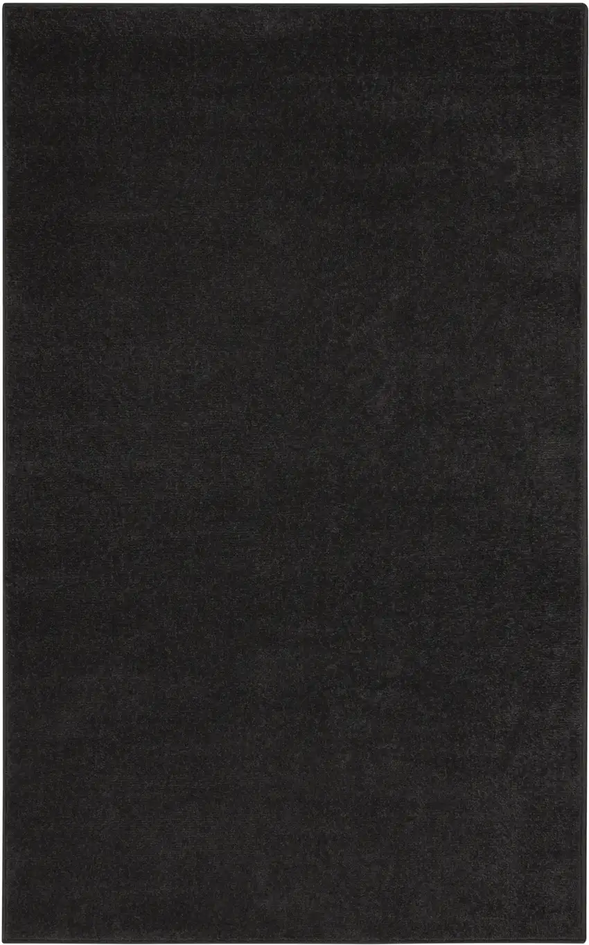 Black Stain Resistant Indoor Outdoor Area Rug Photo 3