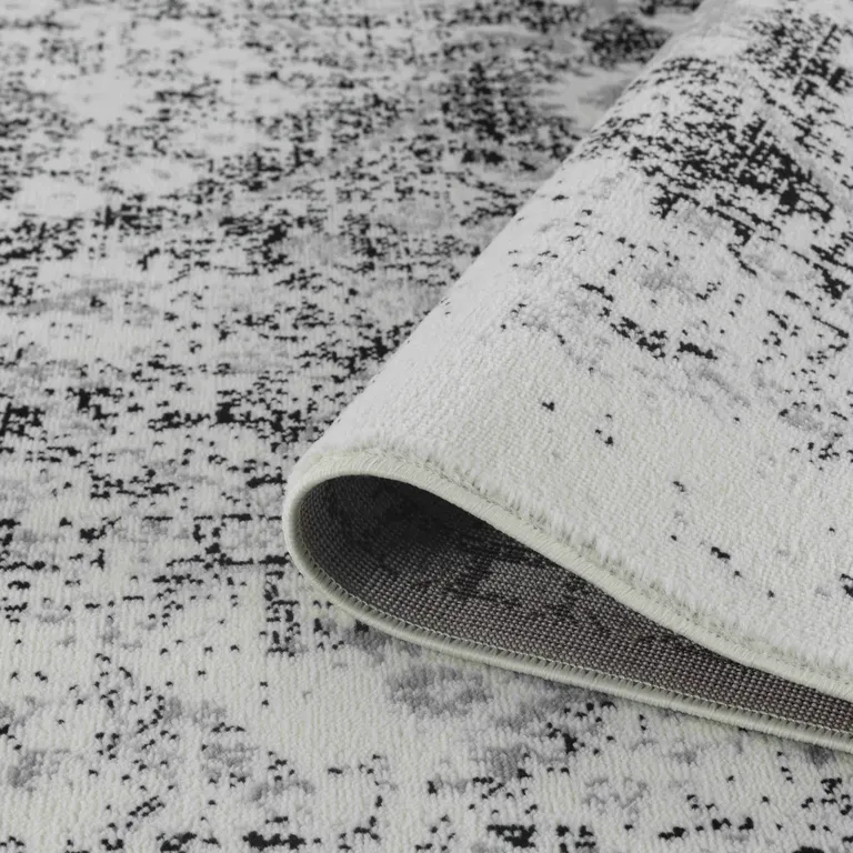 Black Oriental Area Rug Photo 5