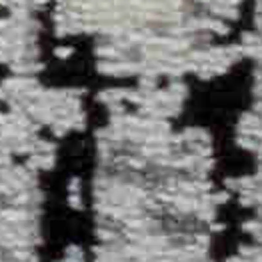 Black Oriental Area Rug Photo 4
