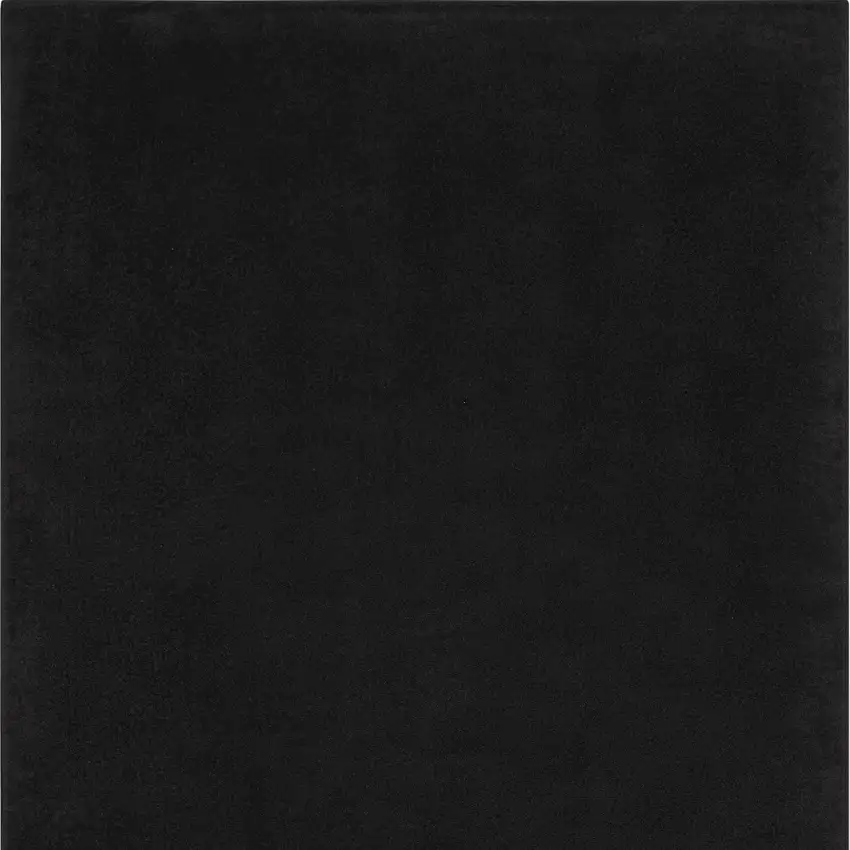 Black Power Loom Area Rug Photo 4
