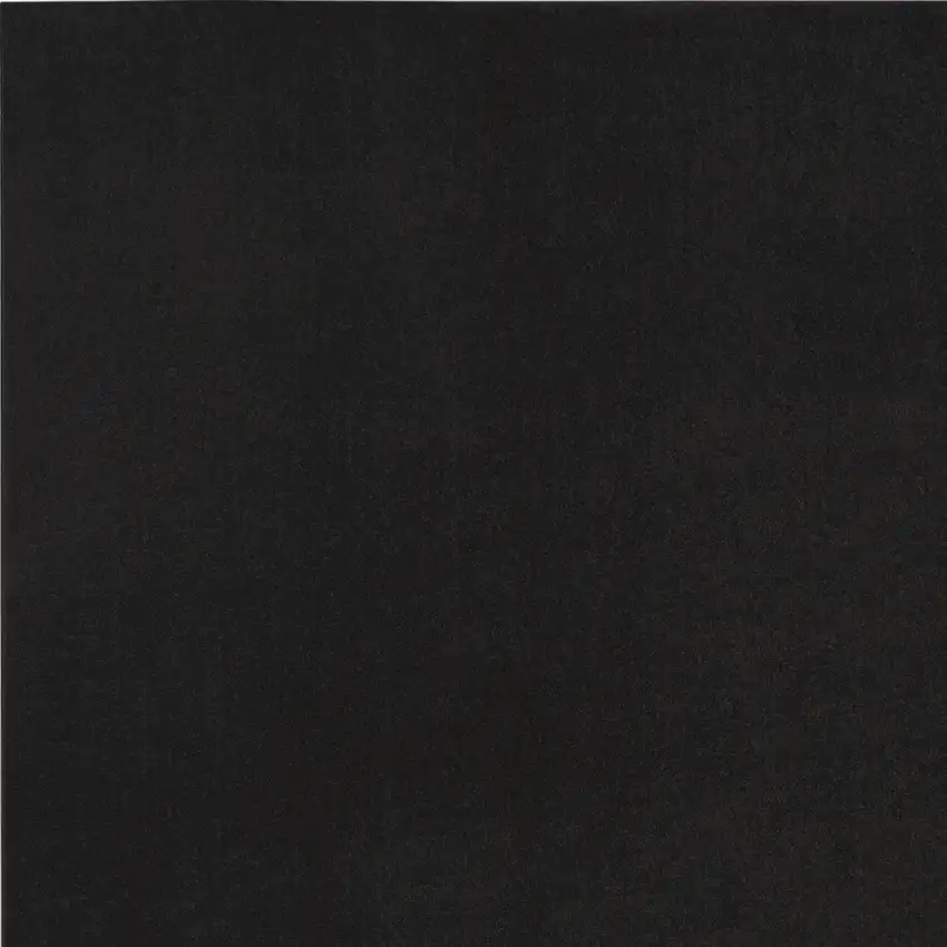 Black Power Loom Area Rug Photo 4