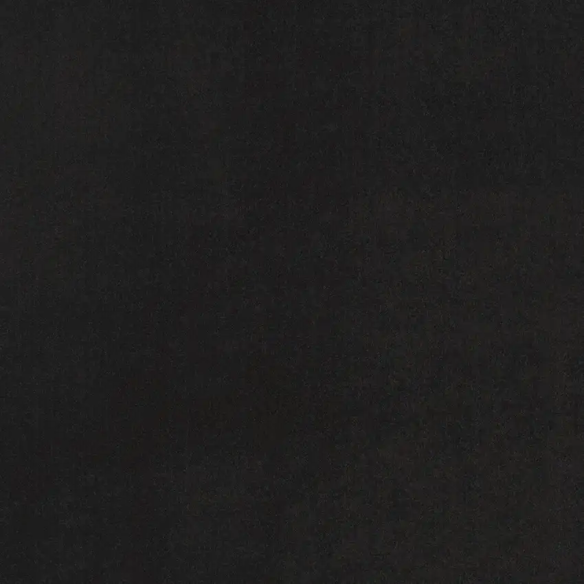 Black Indoor Outdoor Area Rug Photo 4