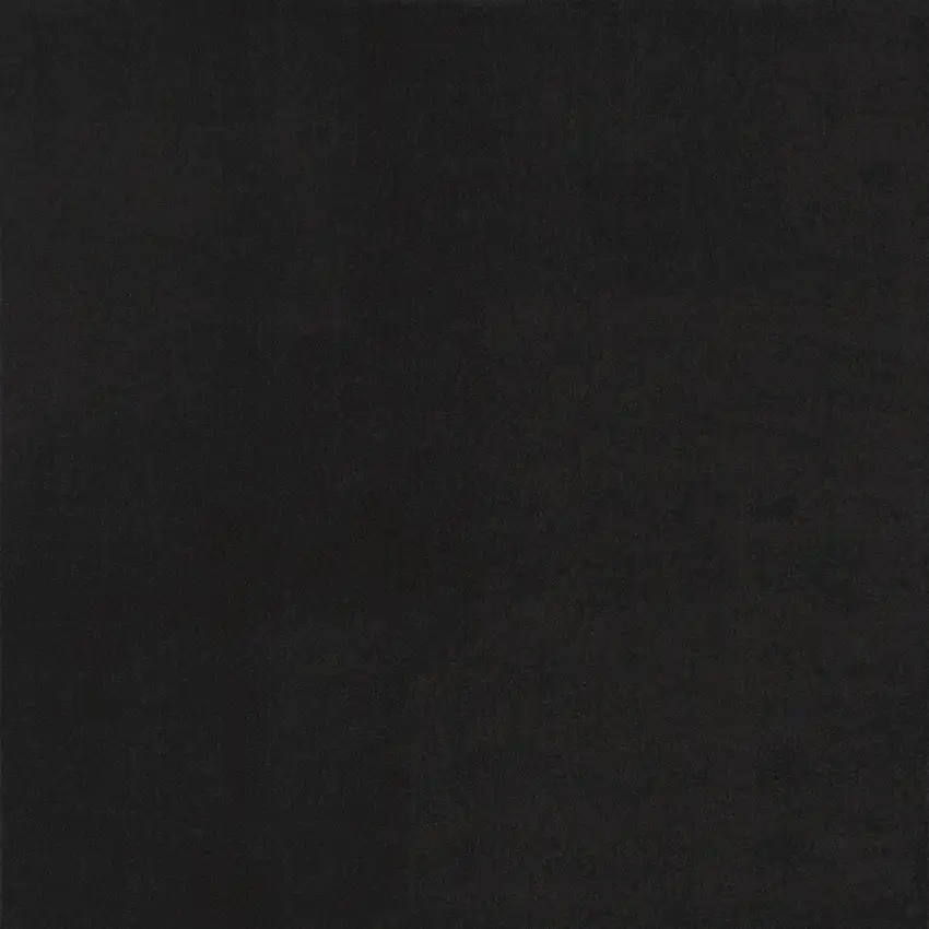 Black Indoor Outdoor Area Rug Photo 5