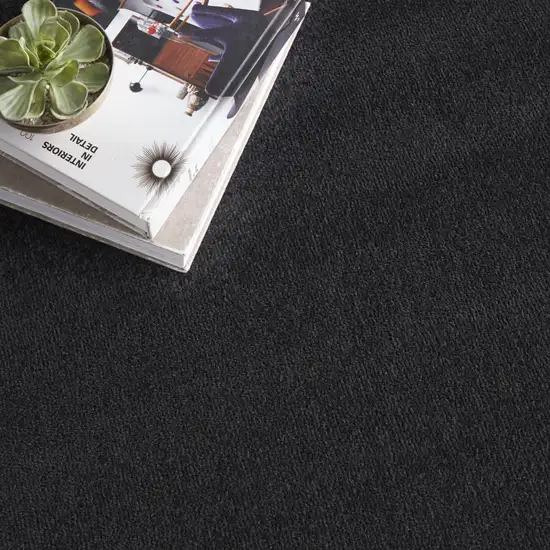 Black Indoor Outdoor Area Rug Photo 5