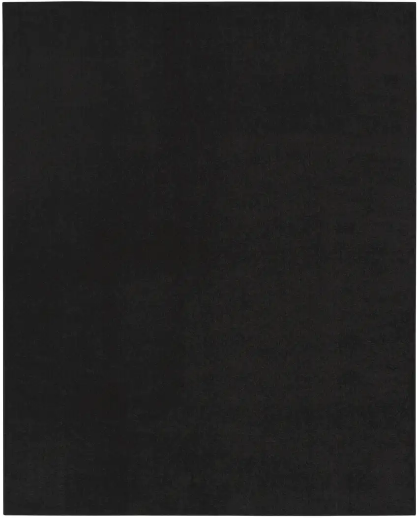 Black Indoor Outdoor Area Rug Photo 1