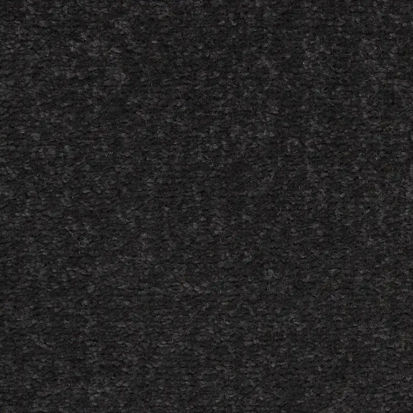 Black Round Indoor Outdoor Area Rug Photo 9