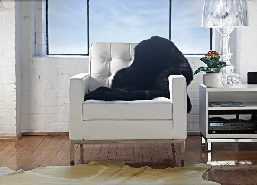 Black Single Sheepskin - Area Rug Photo 3
