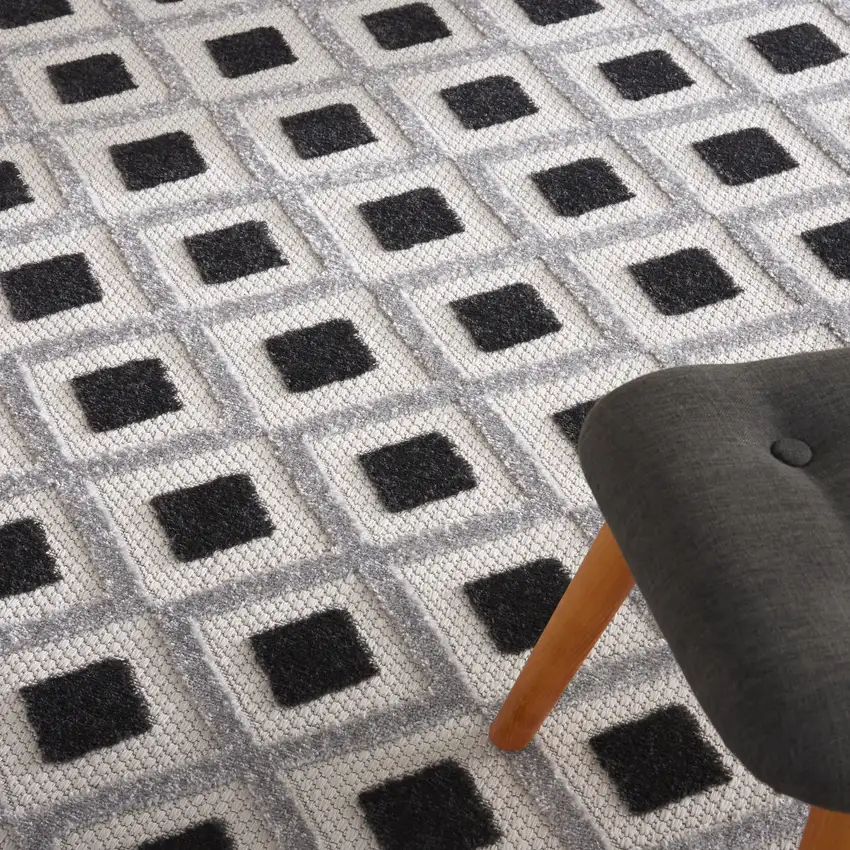Black And White Indoor Outdoor Area Rug Photo 5