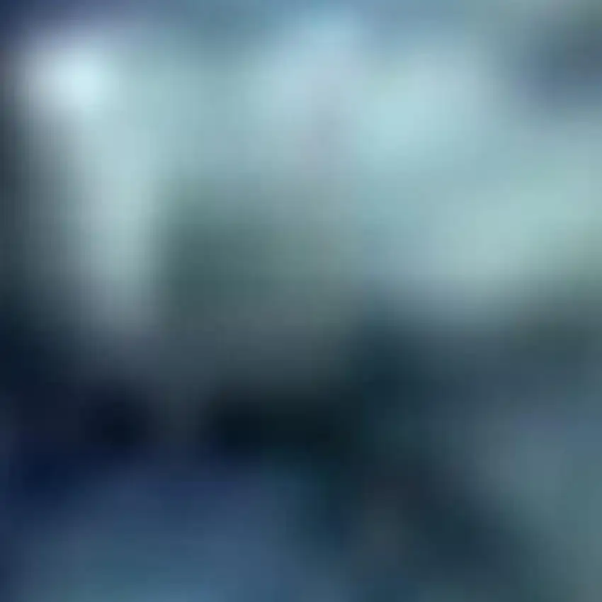 Black and Gray Floral Medallion Non Skid Area Rug Photo 3