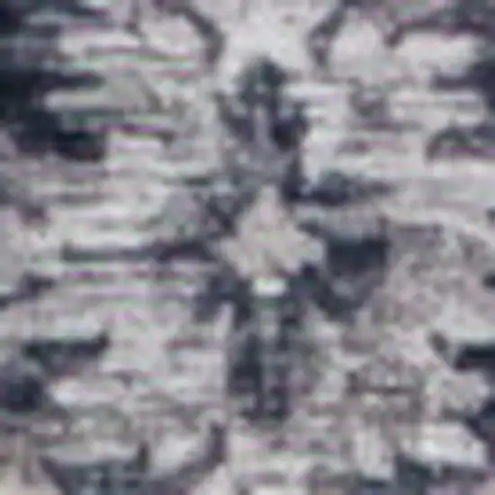 Black and Gray Oriental Area Rug Photo 3