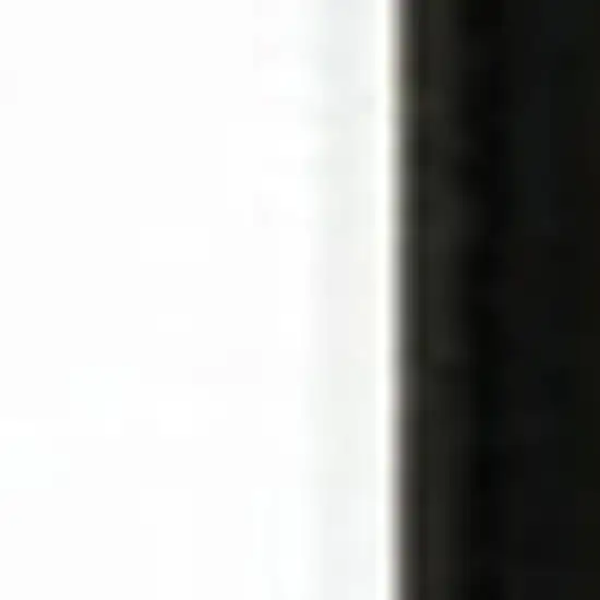 15' Black And Ivory Oriental Runner Rug Photo 3