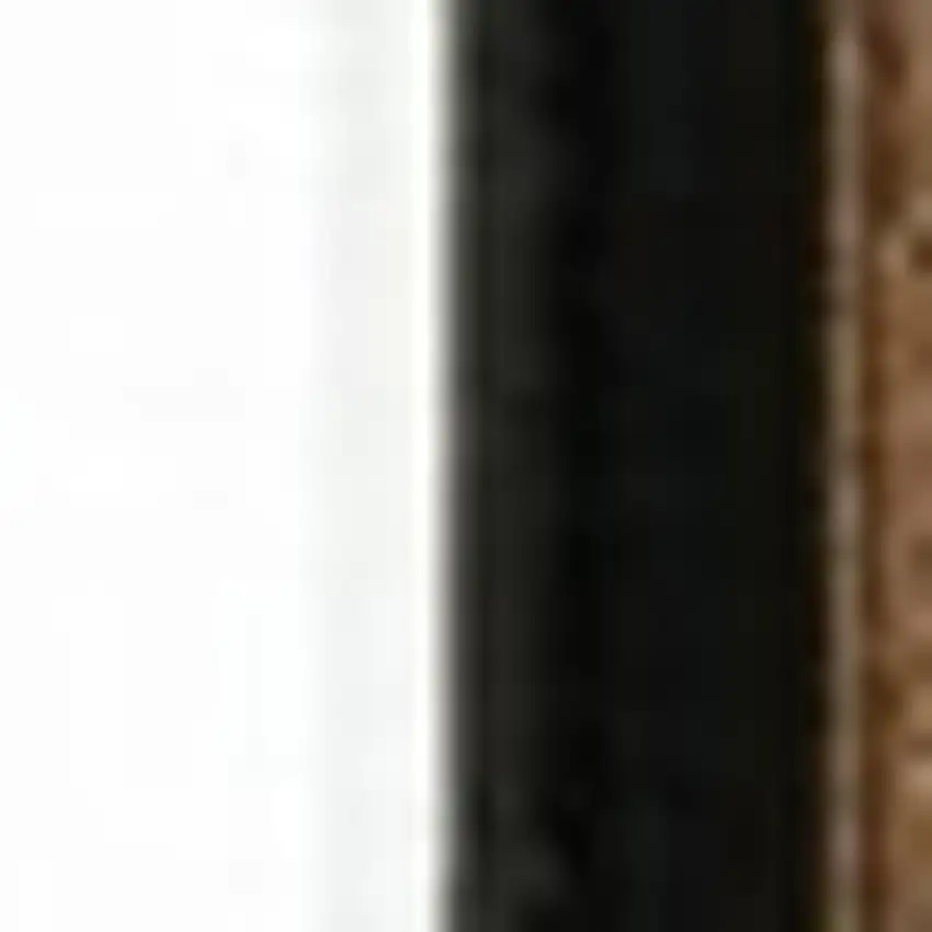 20' Black And Ivory Oriental Runner Rug Photo 2