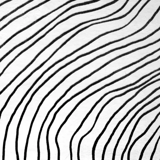 Black and White Abstract Area Rug Photo 2