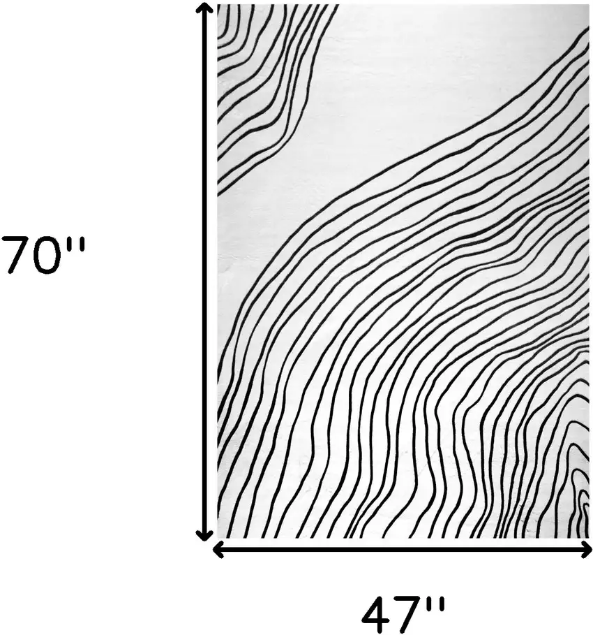 Black and White Abstract Area Rug Photo 6