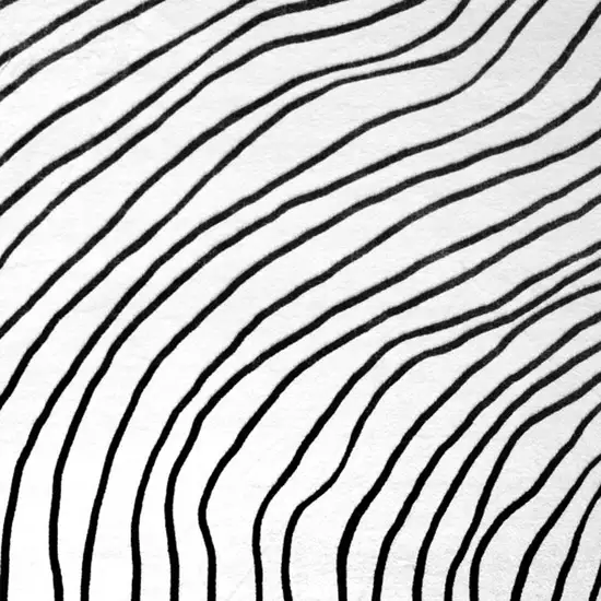 Black and White Abstract Area Rug Photo 3