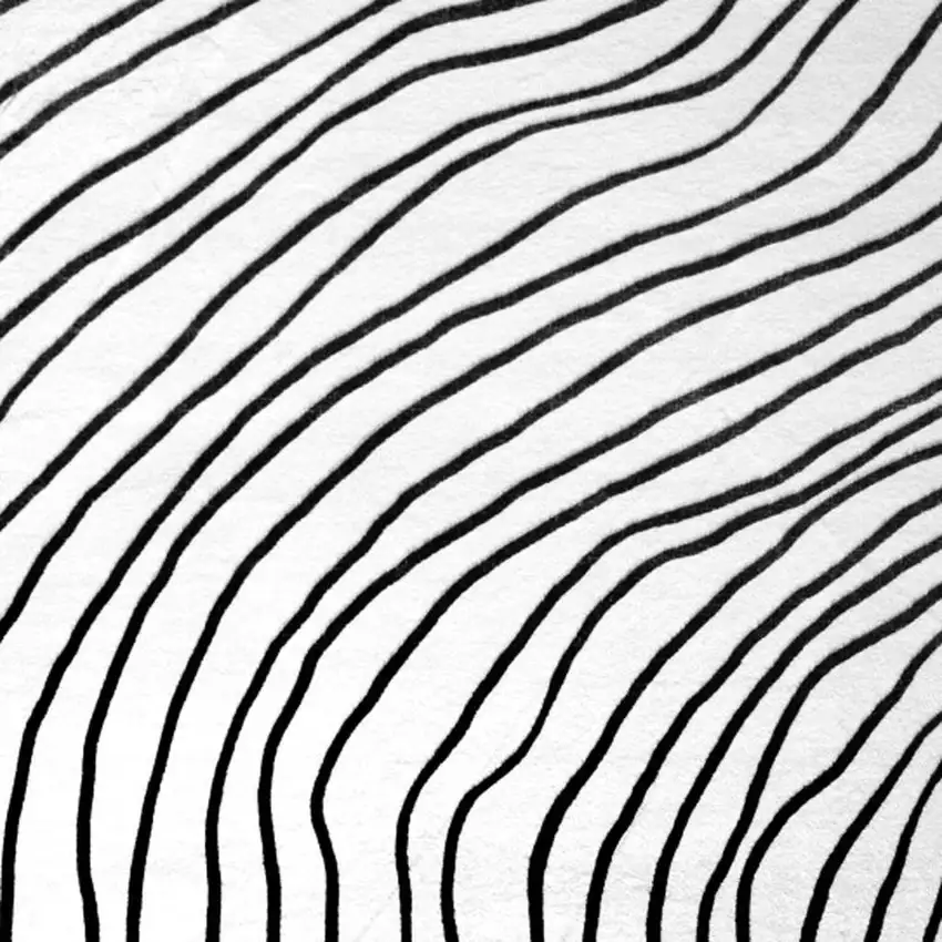 Black and White Abstract Area Rug Photo 3