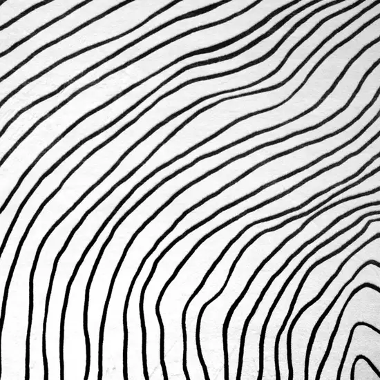Black and White Abstract Area Rug Photo 4
