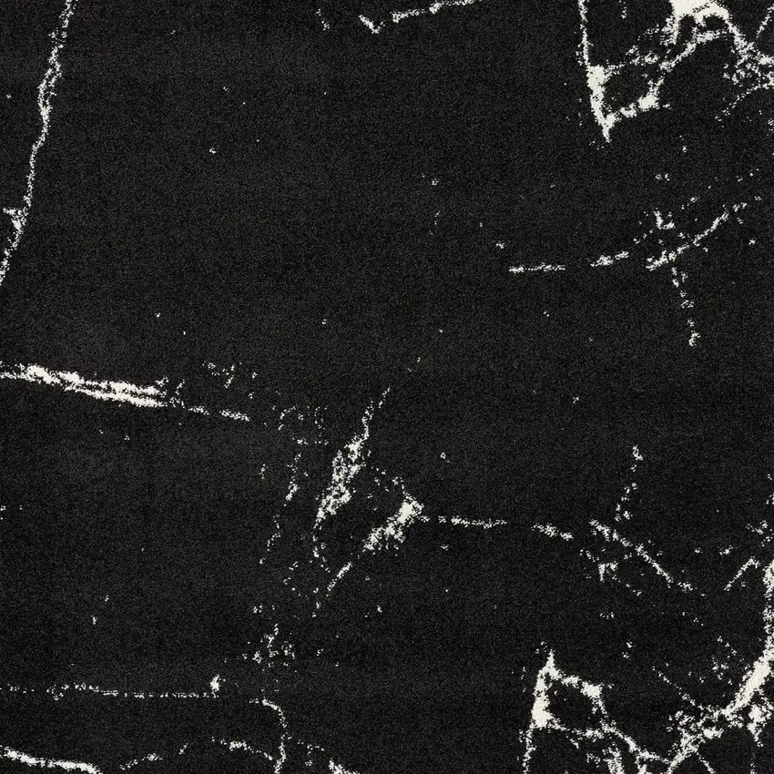 Black And White Abstract Breakage Area Rug Photo 4