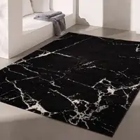 Photo of Black and White Abstract Breakage Area Rug