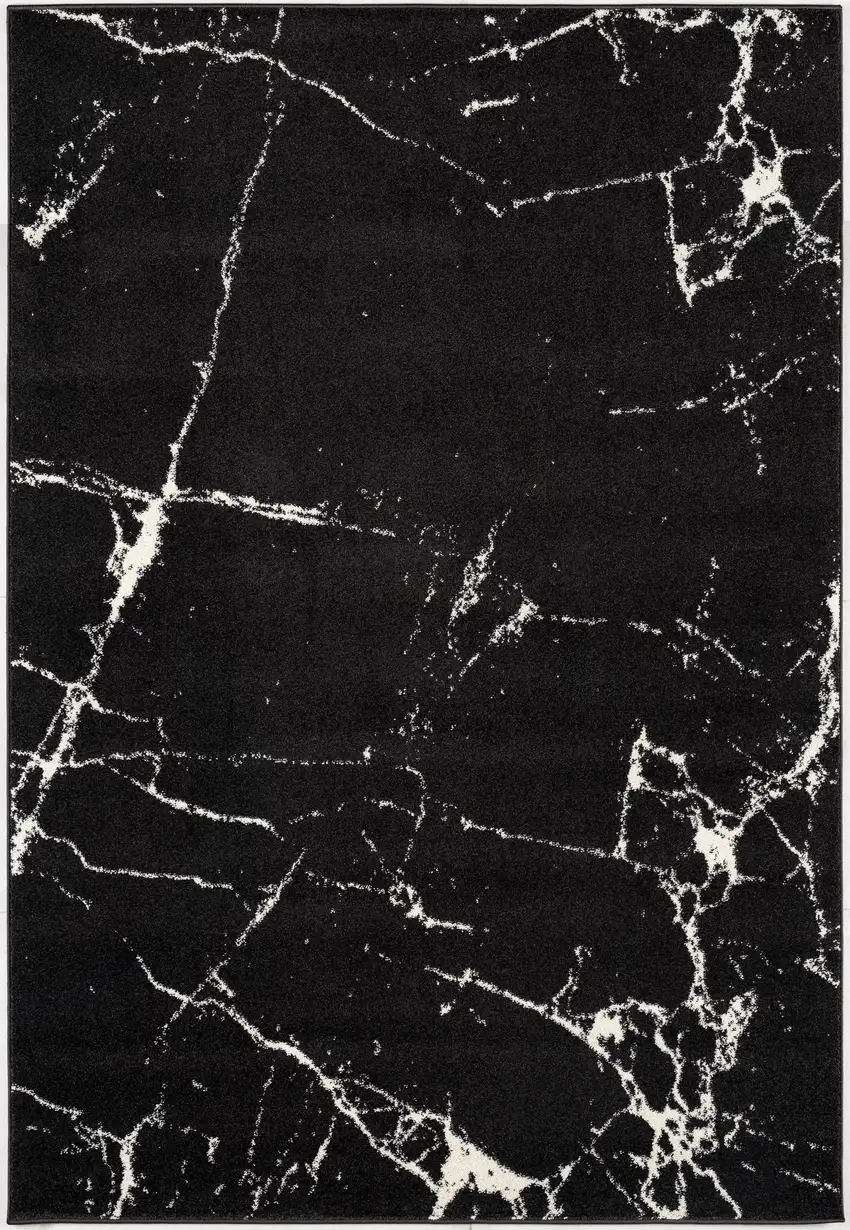 Black and White Abstract Breakage Area Rug Photo 2