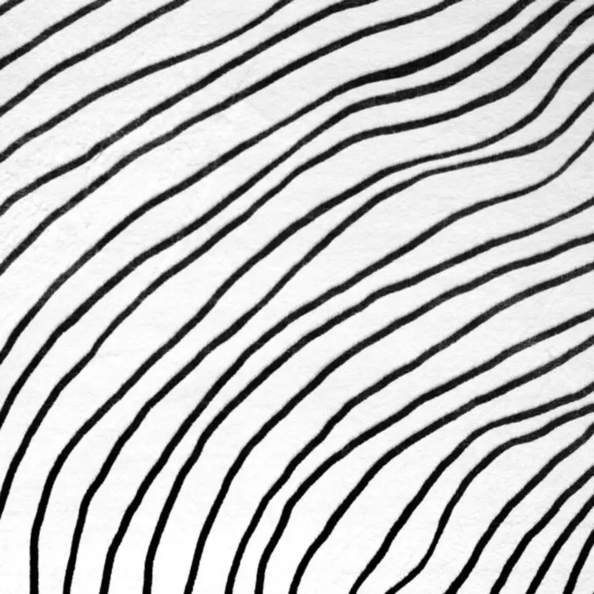 Black and White Abstract Distressed Area Rug Photo 2