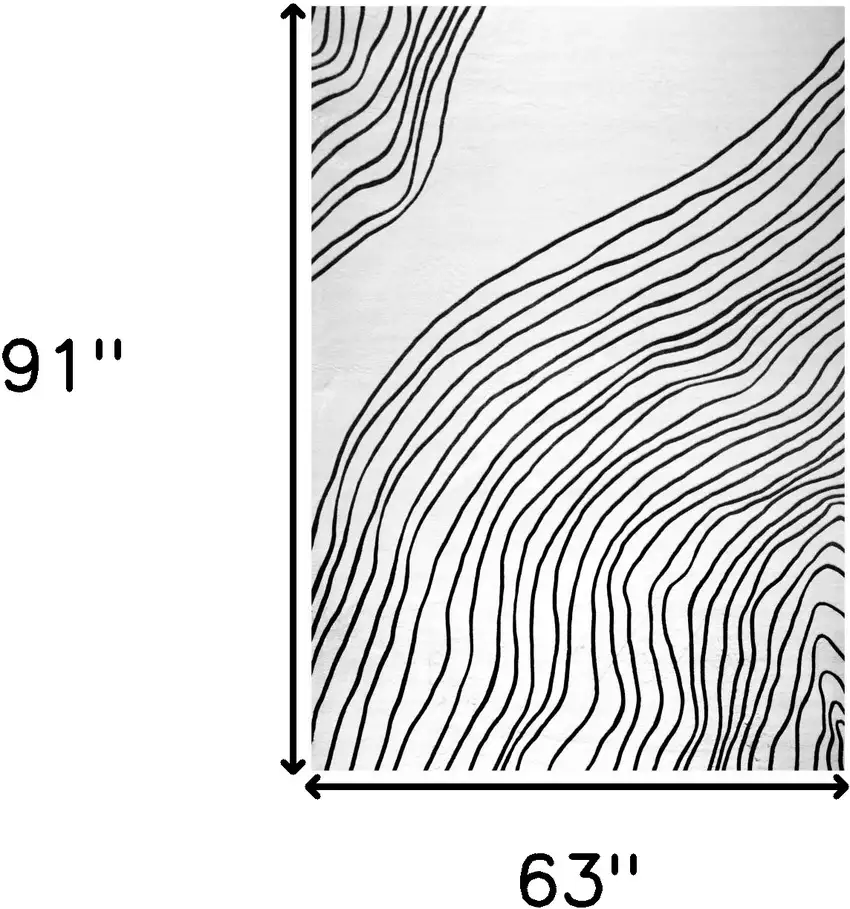 Black and White Abstract Distressed Area Rug Photo 3