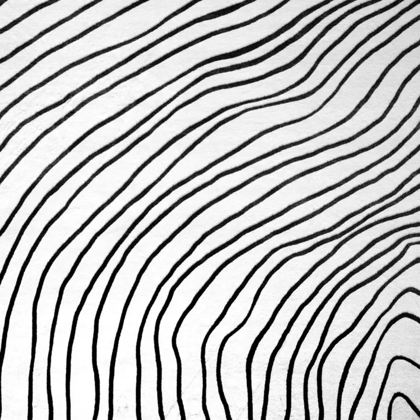 Black and White Abstract Distressed Area Rug Photo 3